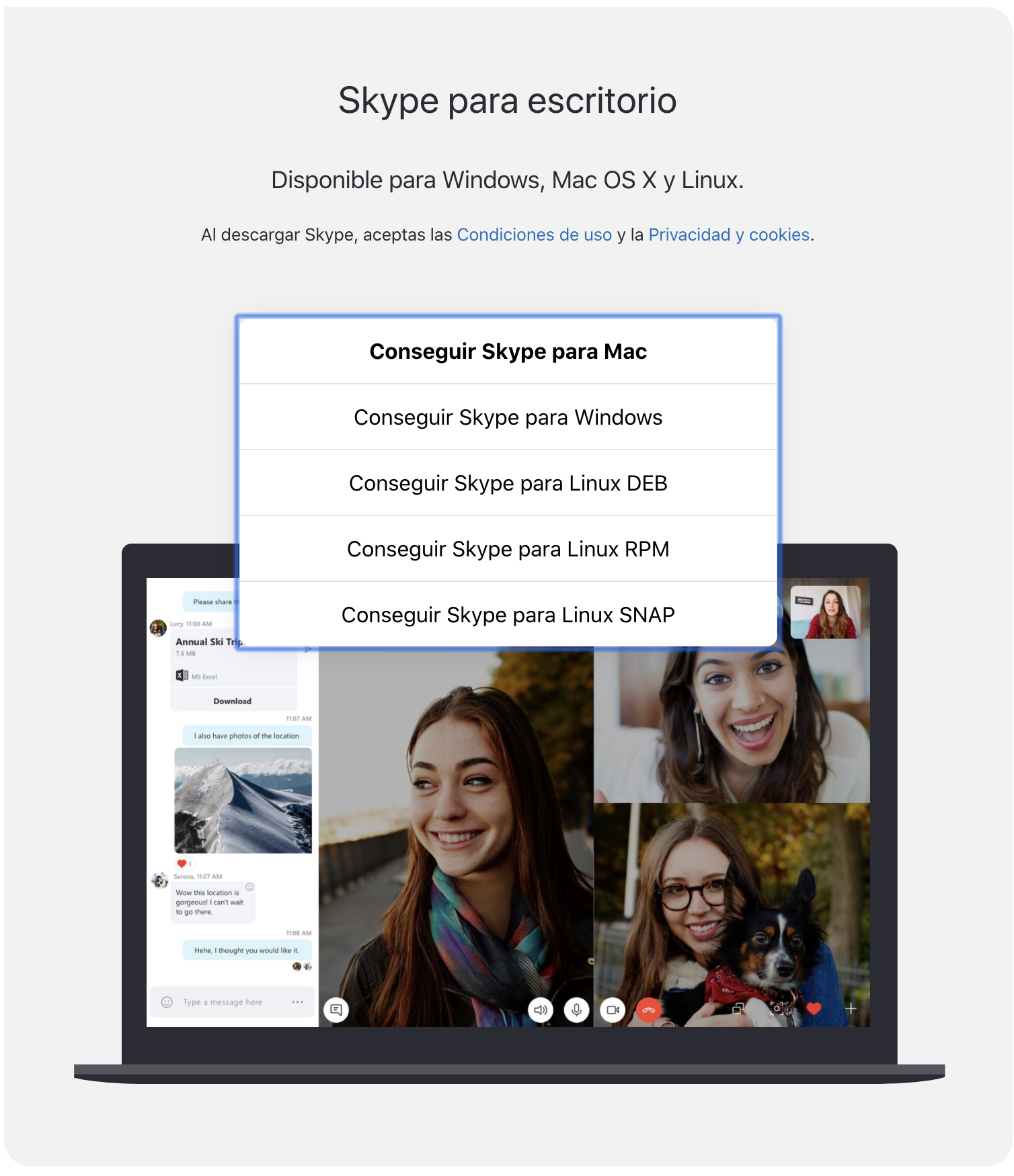 Elegir versión de skype para escritorio según tipo de computador 